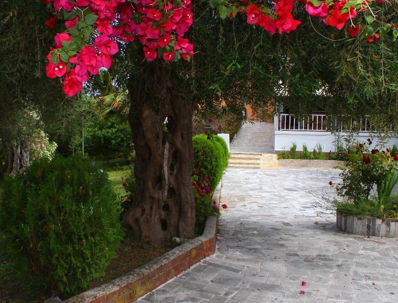 Tina Otel Limni  Dış mekan fotoğraf